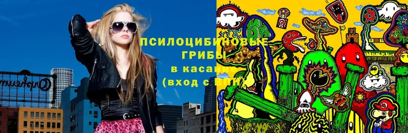 Псилоцибиновые грибы Psilocybine cubensis  блэк спрут ссылка  Камышин 